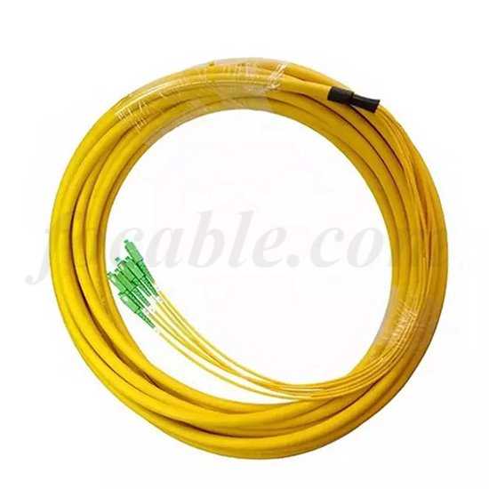 Bunch Fan-out Fiber Pigtail SC 12F 2.0mm