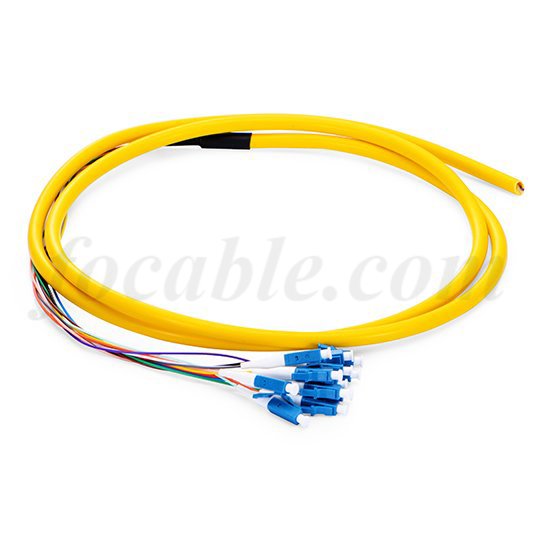 Bunch Fan-out Fiber Pigtail LC 12F 0.9mm