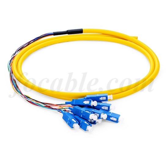 Bunch Fan-out Fiber Pigtail SC 12F 0.9mm