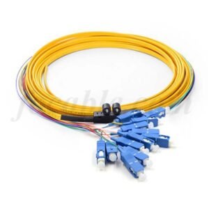 Ribbon Fan-out Fiber Pigtail SC 12F 0.9mm