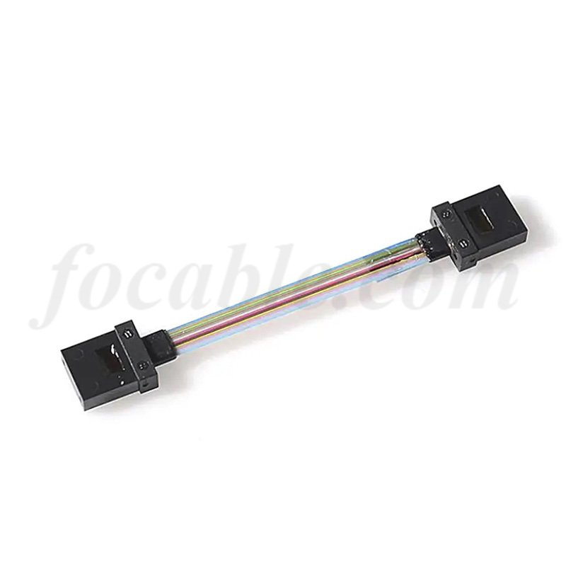 12 Fiber MT-MT Patch Cord Female to Female