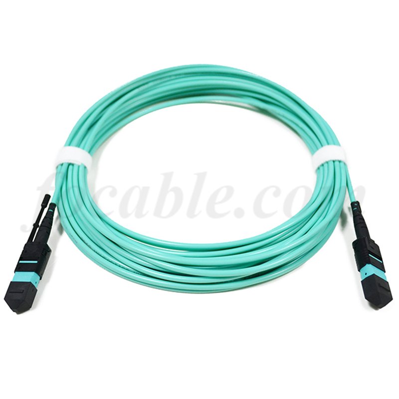Patch Leads MTP-MTP With Push-Pull Tabs 12F OM3