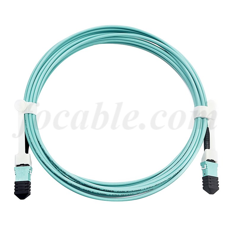 Patch Leads MPO-MPO With Push-Pull Tabs OM3 12F