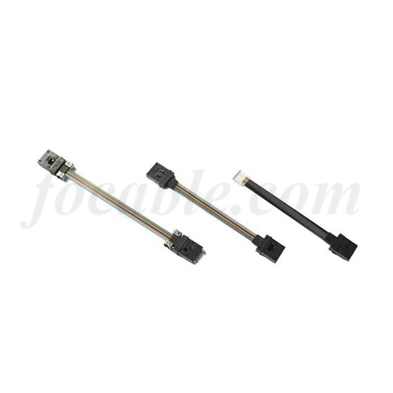12 Fiber MT-MT MT-FA Patch Cord