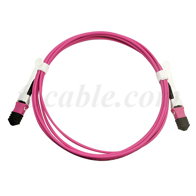 Patch Leads MPO-MPO With Push-Pull Tabs ⁬OM4 12F